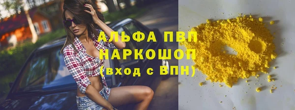 PSILOCYBIN Волосово