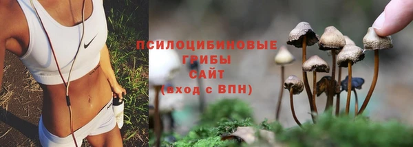 гашик Волоколамск