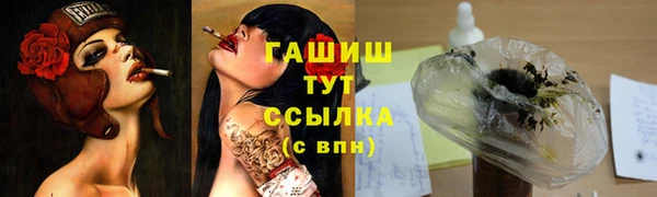 PSILOCYBIN Волосово