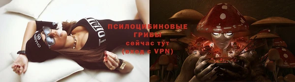 гашик Волоколамск