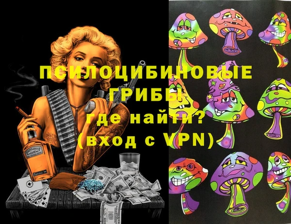 гашик Волоколамск