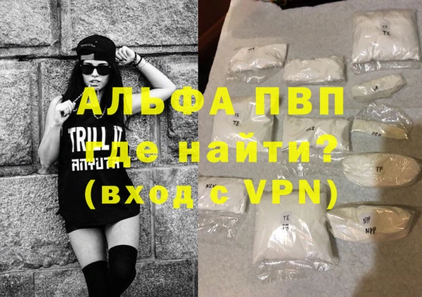 PSILOCYBIN Волосово
