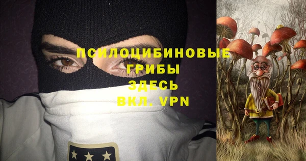 PSILOCYBIN Волосово