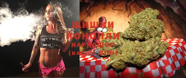 PSILOCYBIN Волосово